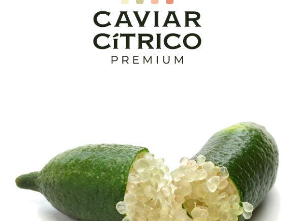 El Caviar Cítrico en España: Un Tesoro de la Gastronomía Española